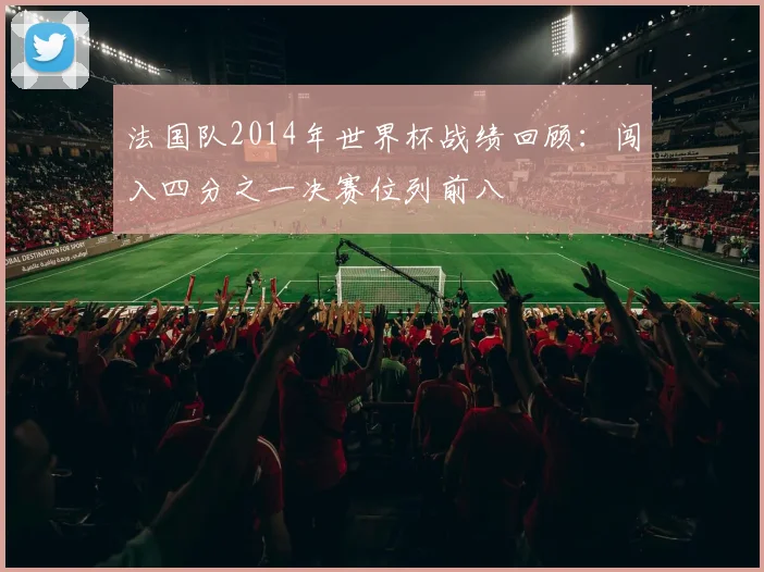 法国队2014年世界杯战绩回顾：闯入四分之一决赛位列前八