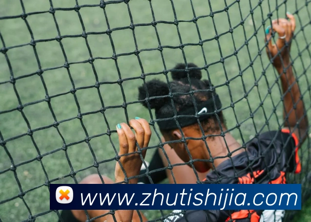 开云app在线入口APP 封面图